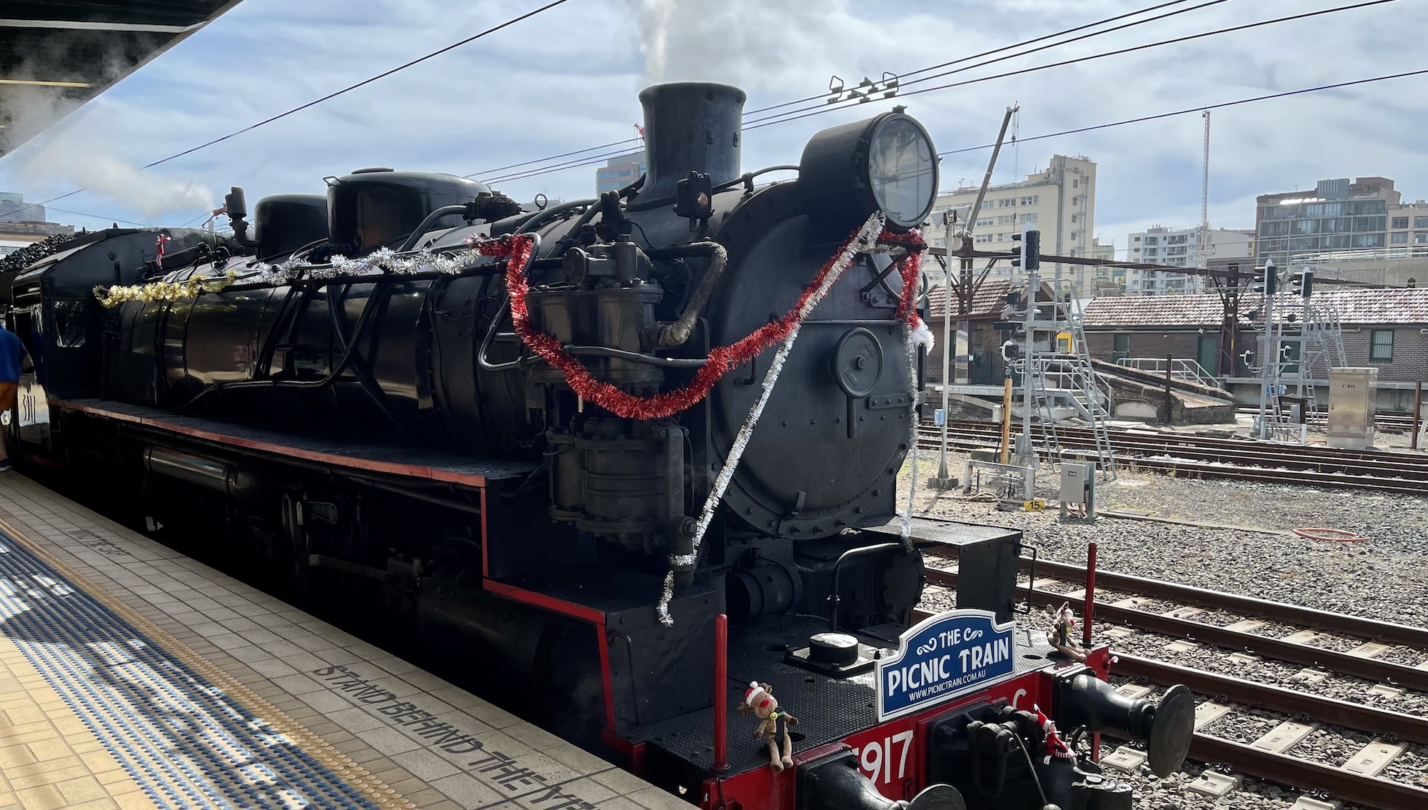 Picnic train steam train